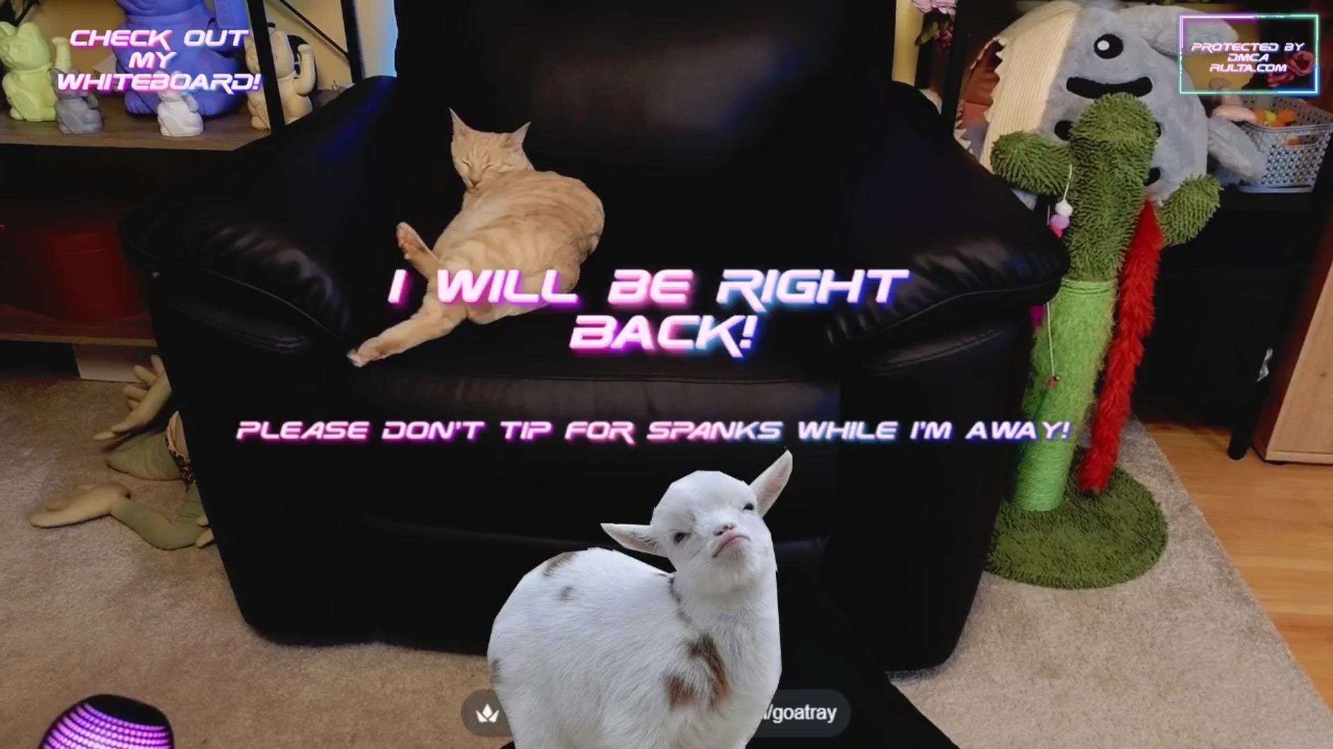 TamaraRay video thumbnail