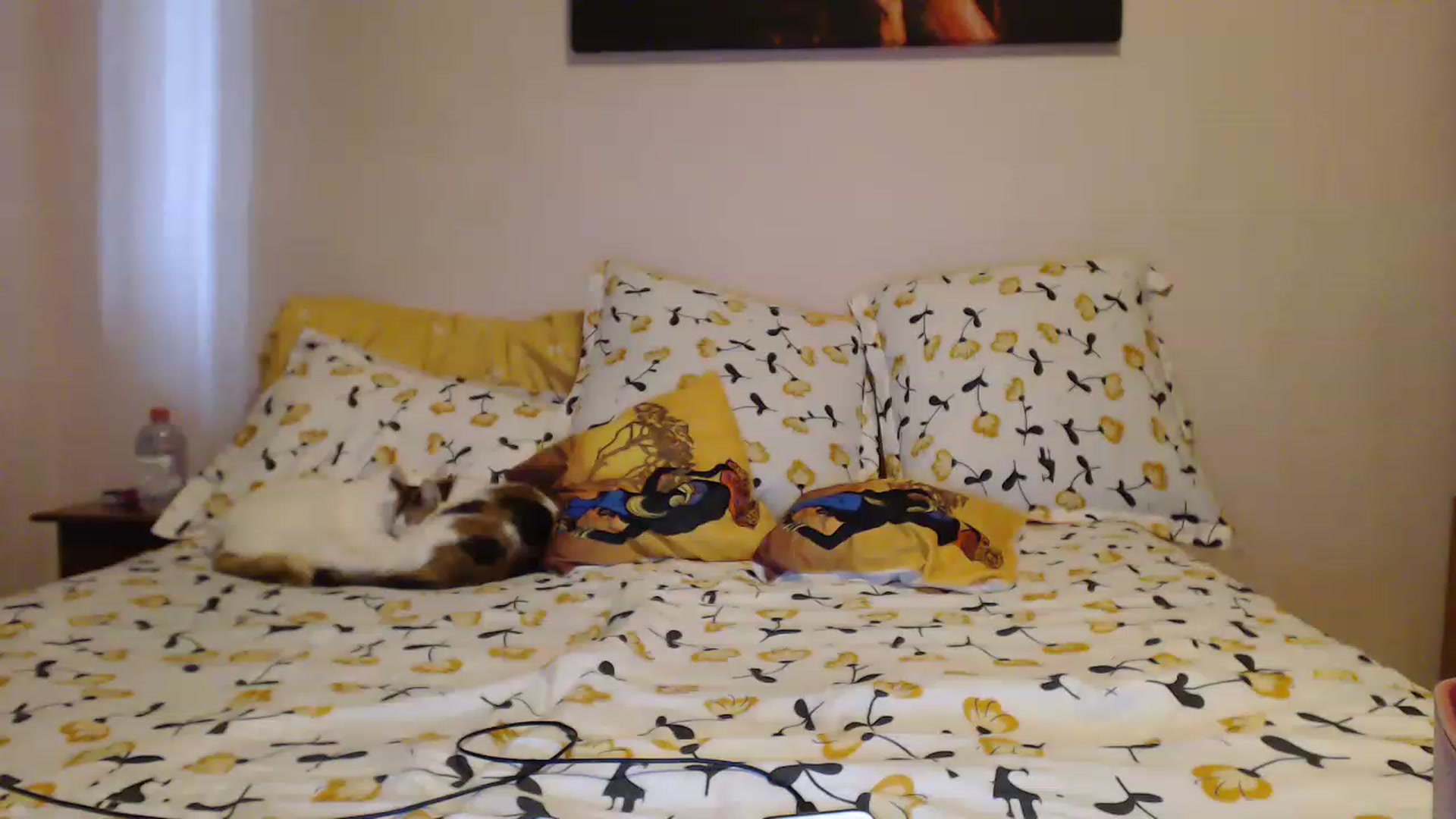 Aahh_Emilia video thumbnail