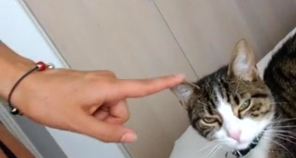 FloraBella_ video thumbnail