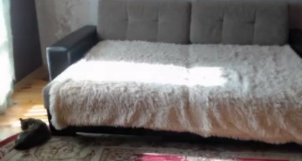 Lio_noy video thumbnail