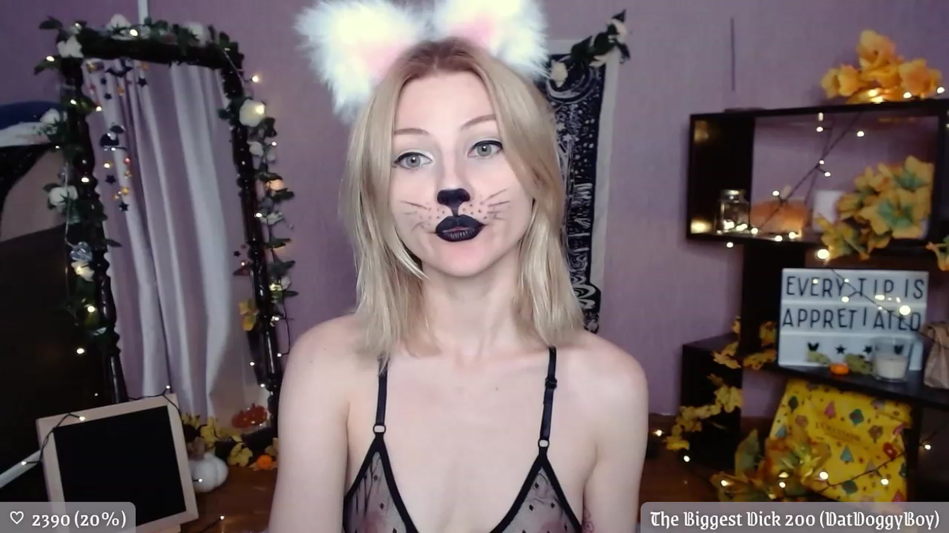 JellyFox video thumbnail