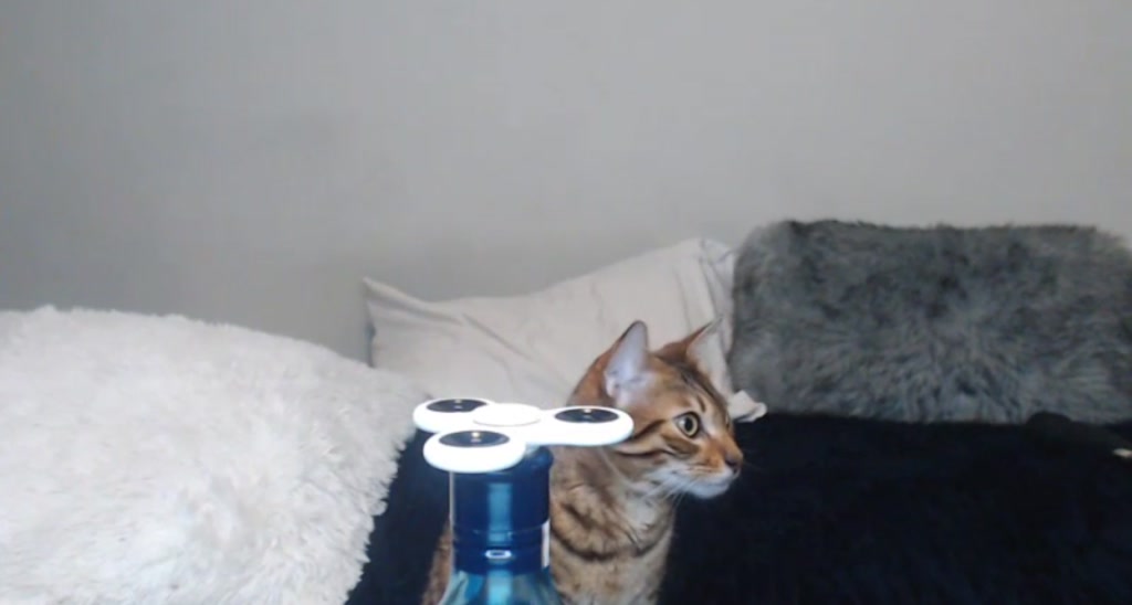 Mary_ video thumbnail