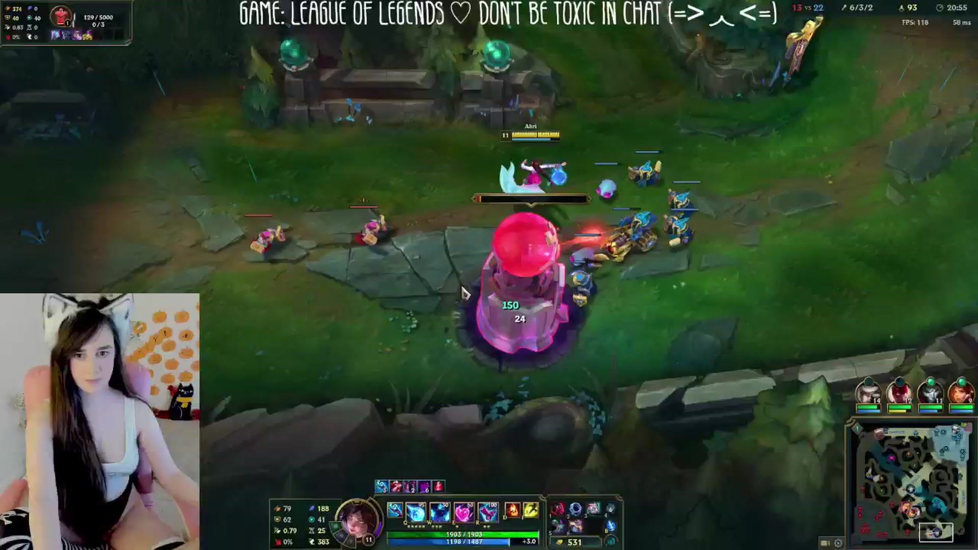 Kitty video thumbnail