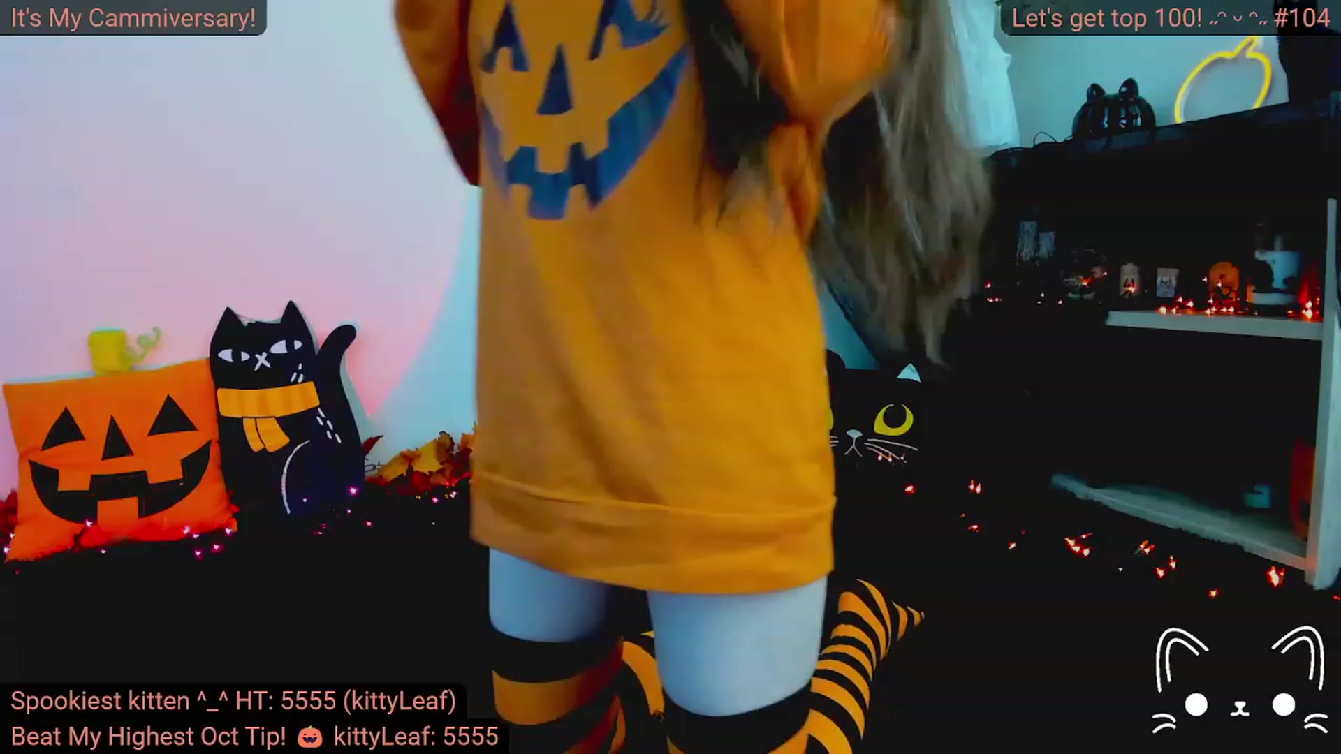 Kitty video thumbnail
