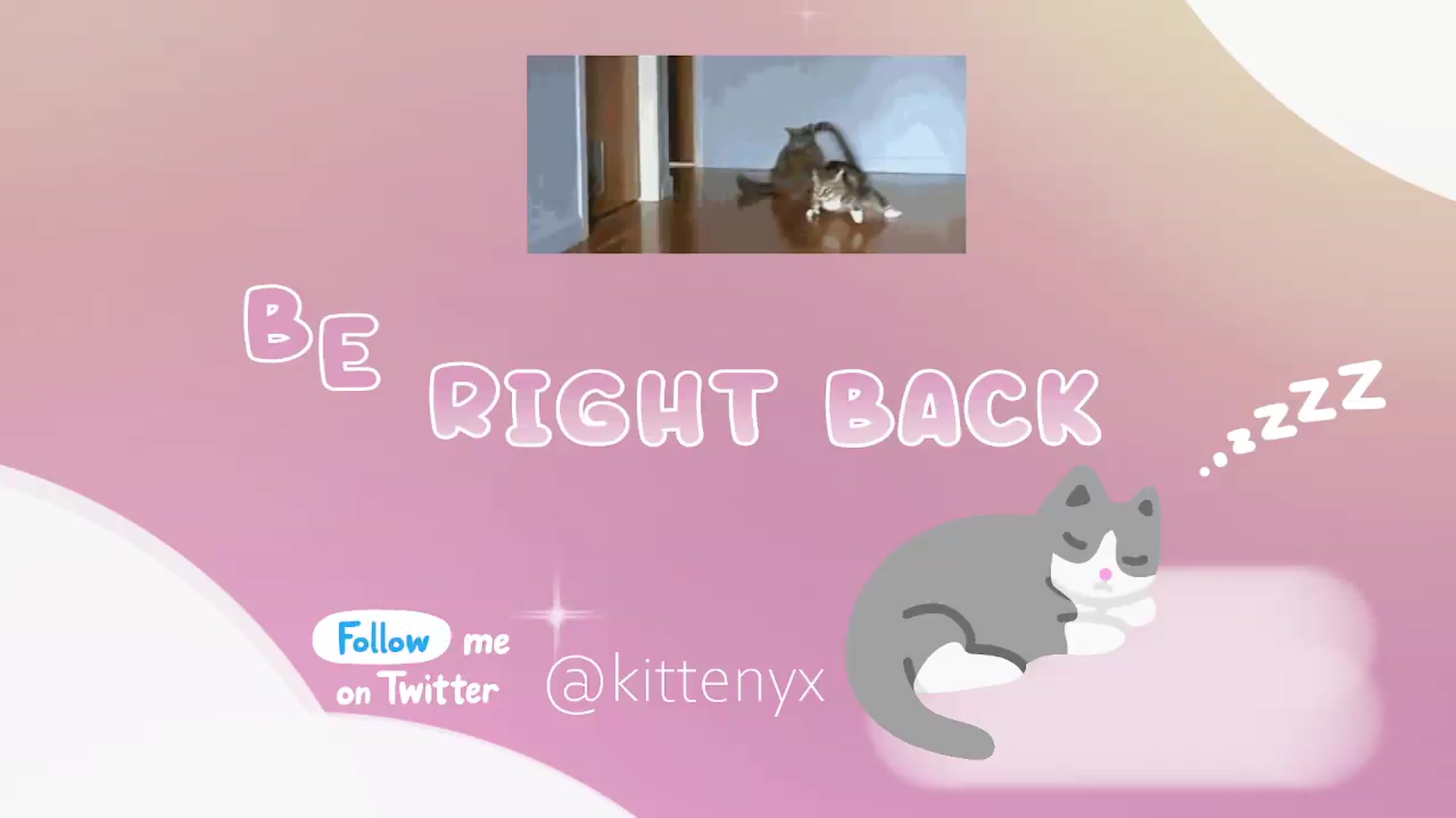 Kittenyx video thumbnail