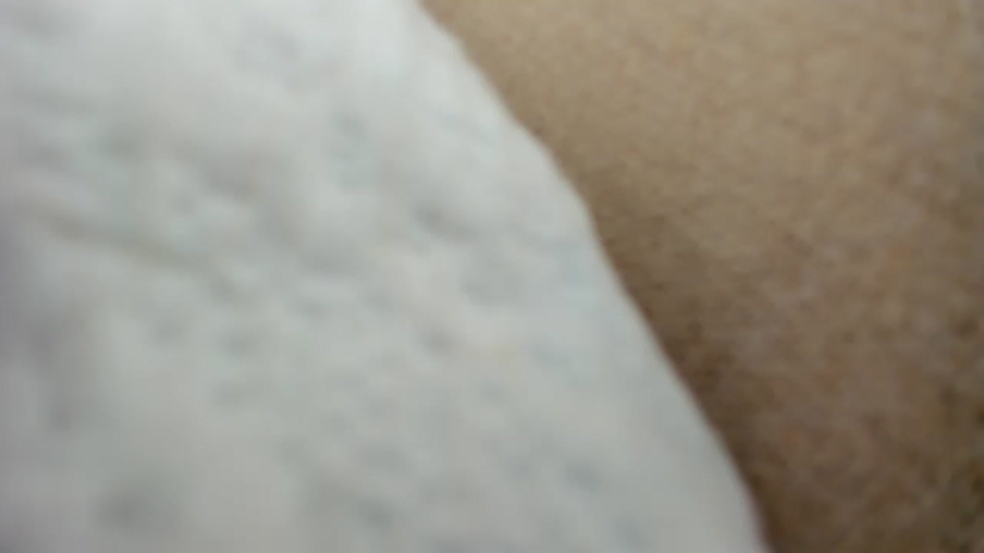 thewolfof_MFC video thumbnail