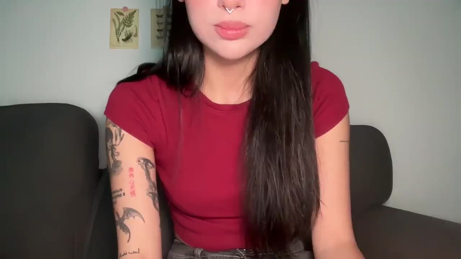mayflowers video thumbnail