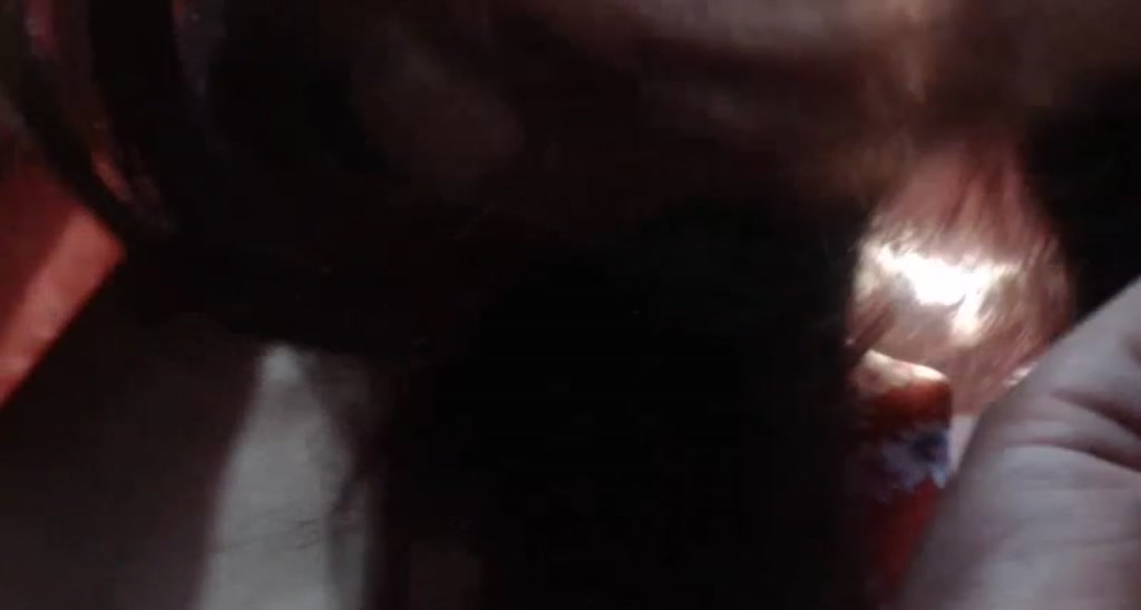 Bettie_Page video thumbnail