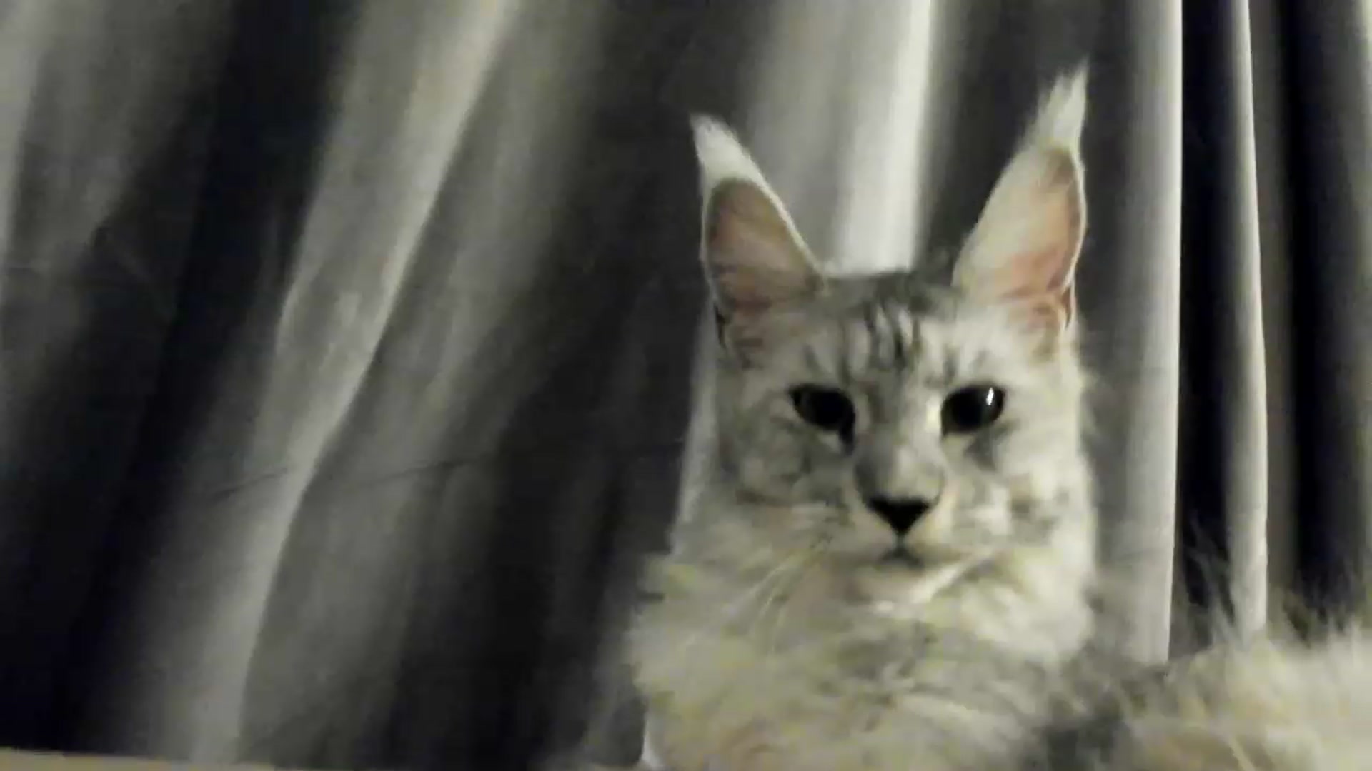 SashaLopez video thumbnail