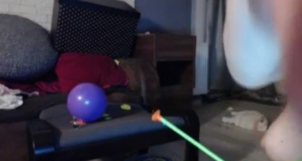 EveNight video thumbnail
