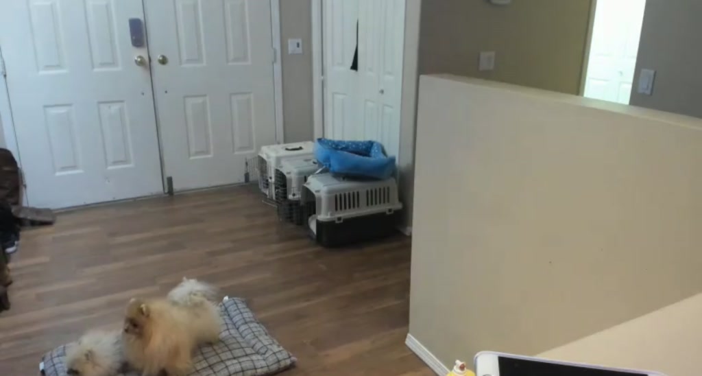 Mollyboots video thumbnail