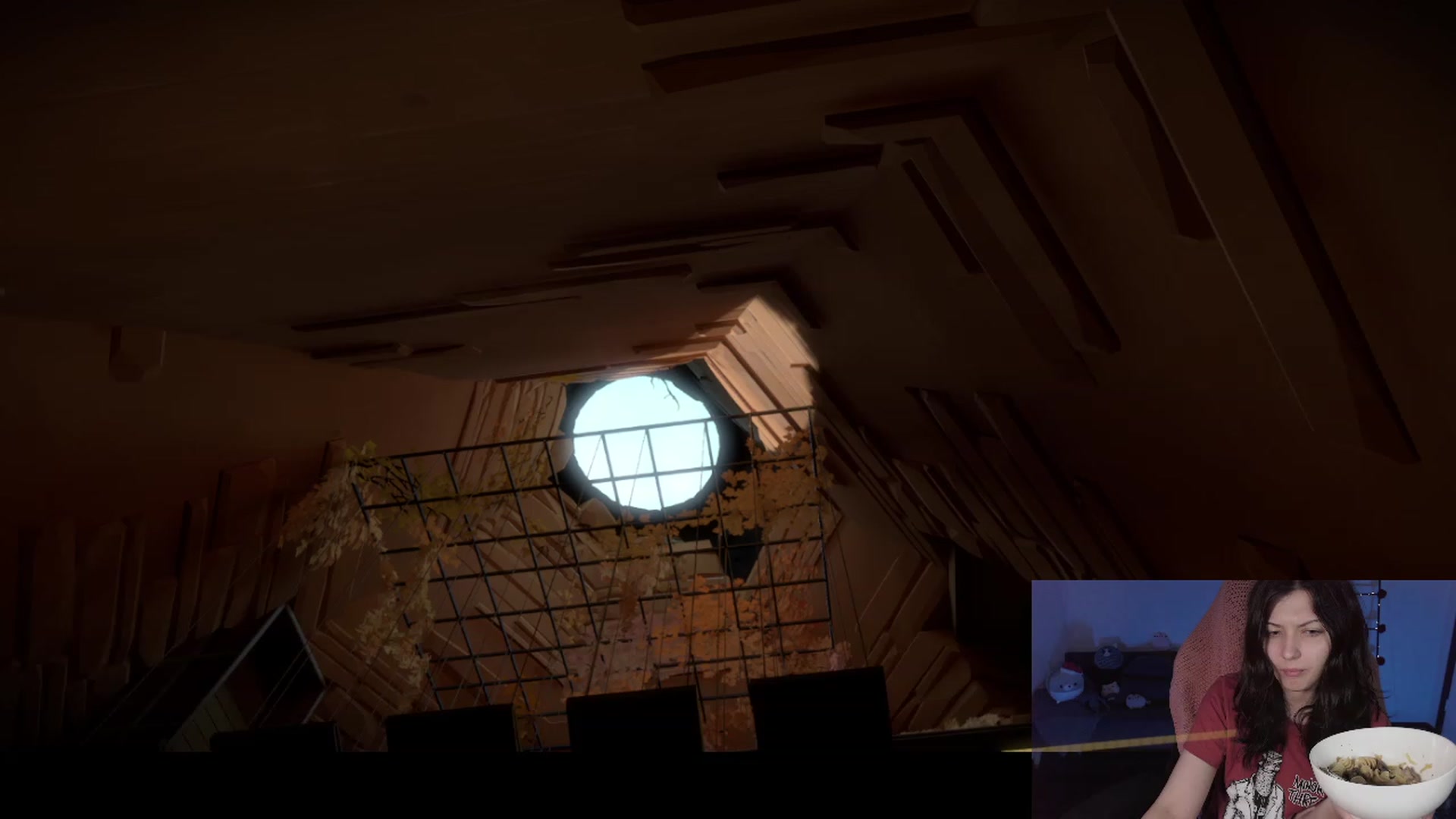 RoomToAvoid video thumbnail