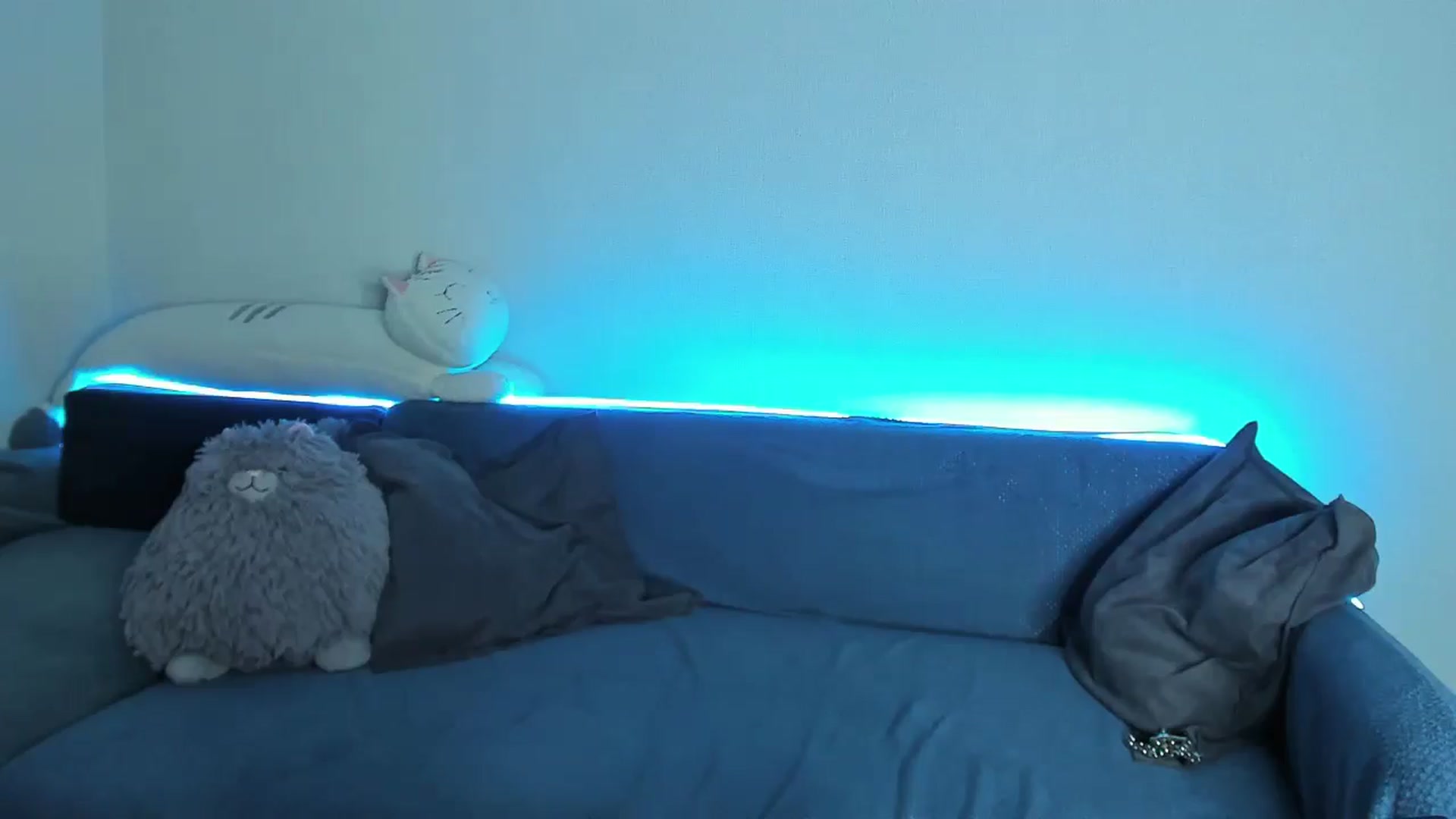 latifameow video thumbnail