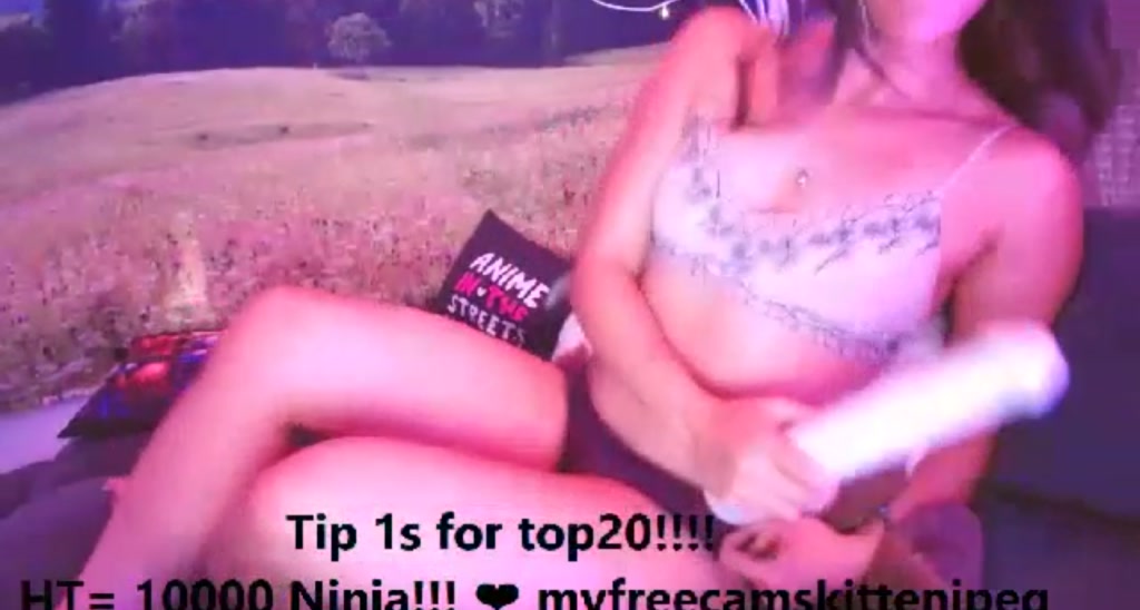 Kitten_JPEG video thumbnail