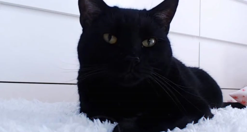 NataliaGrey video thumbnail