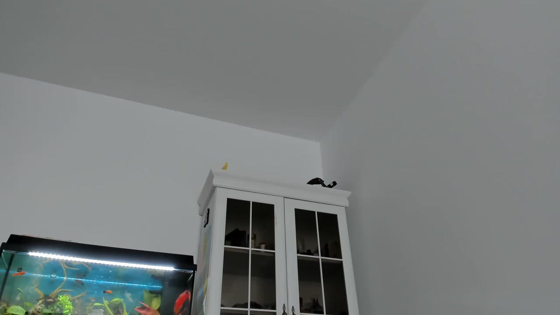 SweetAngell18 video thumbnail