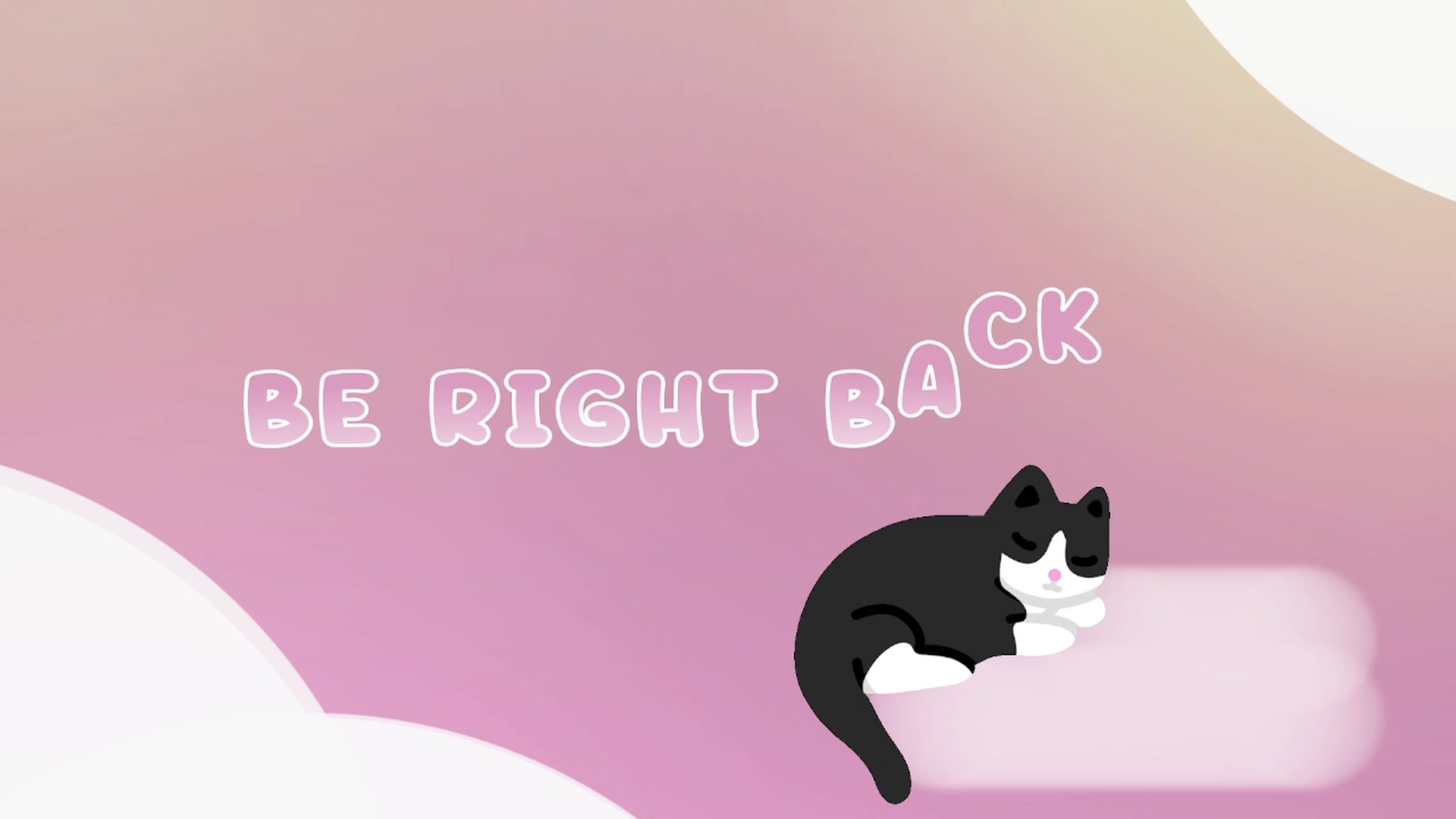 Kitty video thumbnail