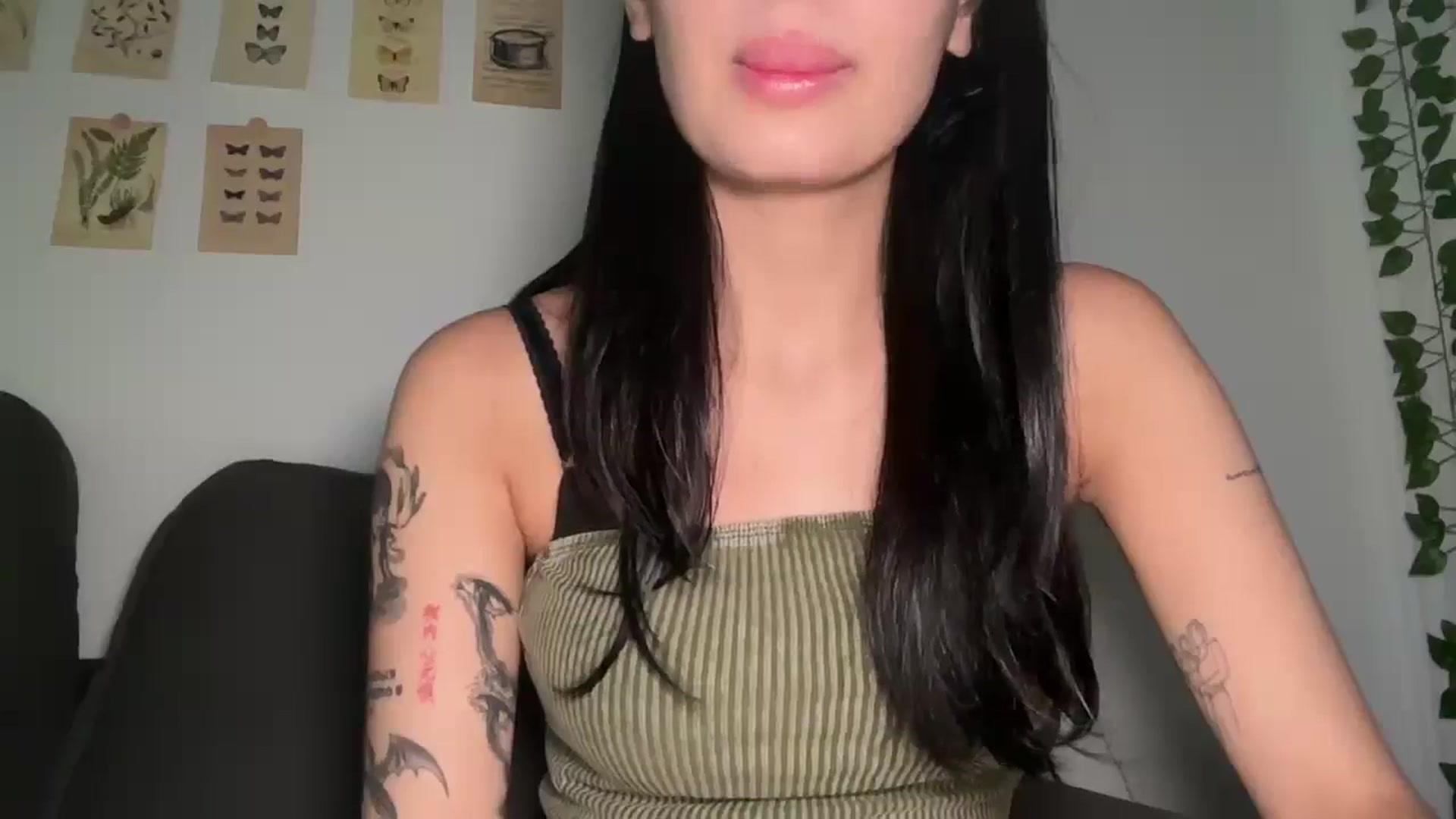 mayflowwer video thumbnail