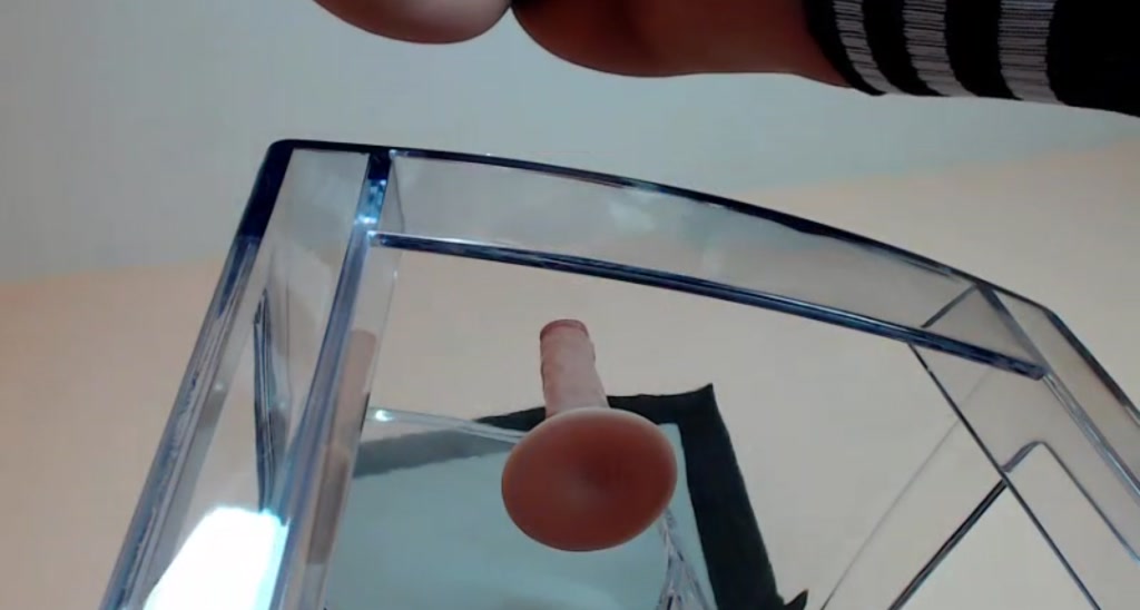 HALEY video thumbnail