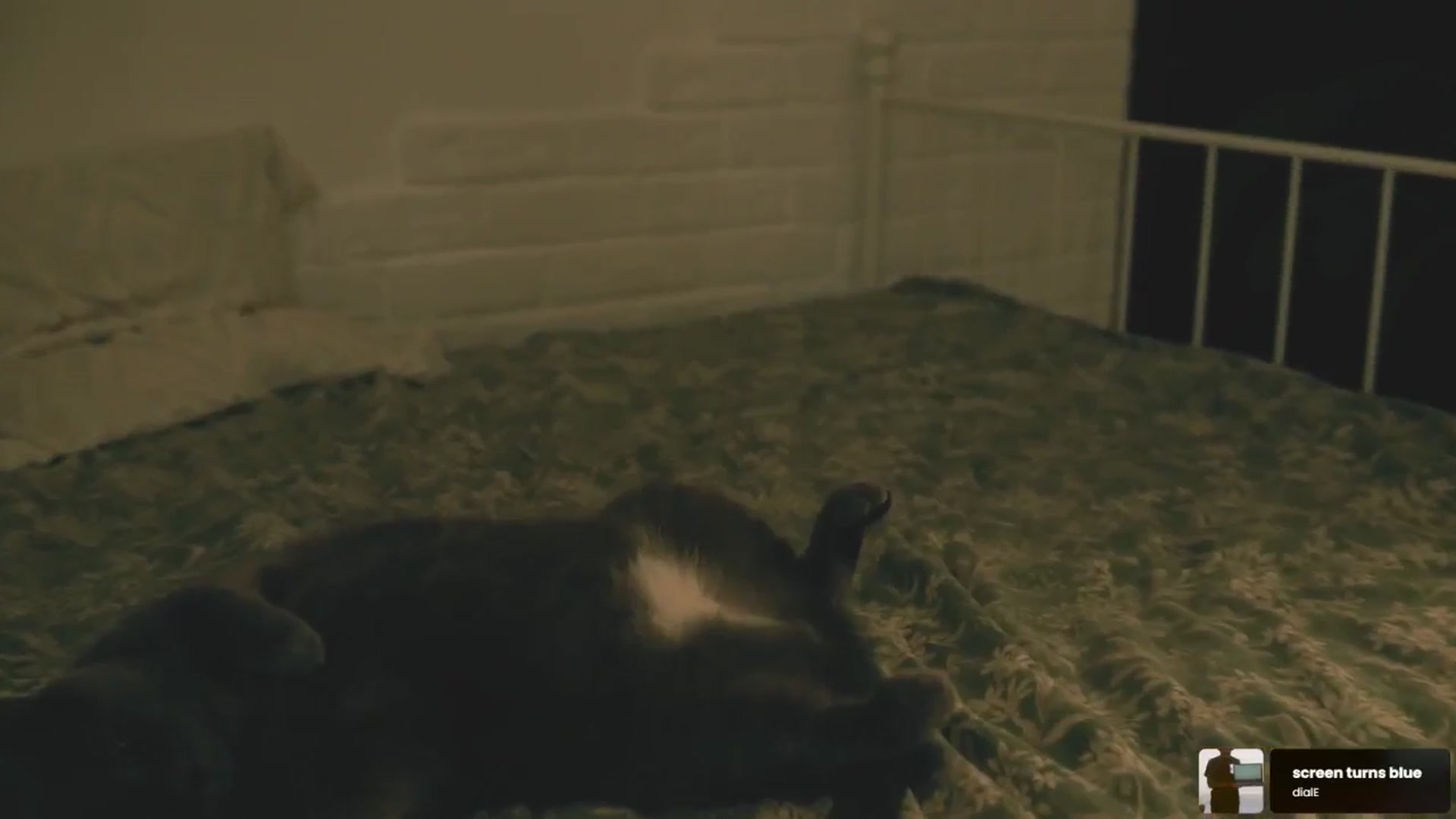 GoodVibes video thumbnail