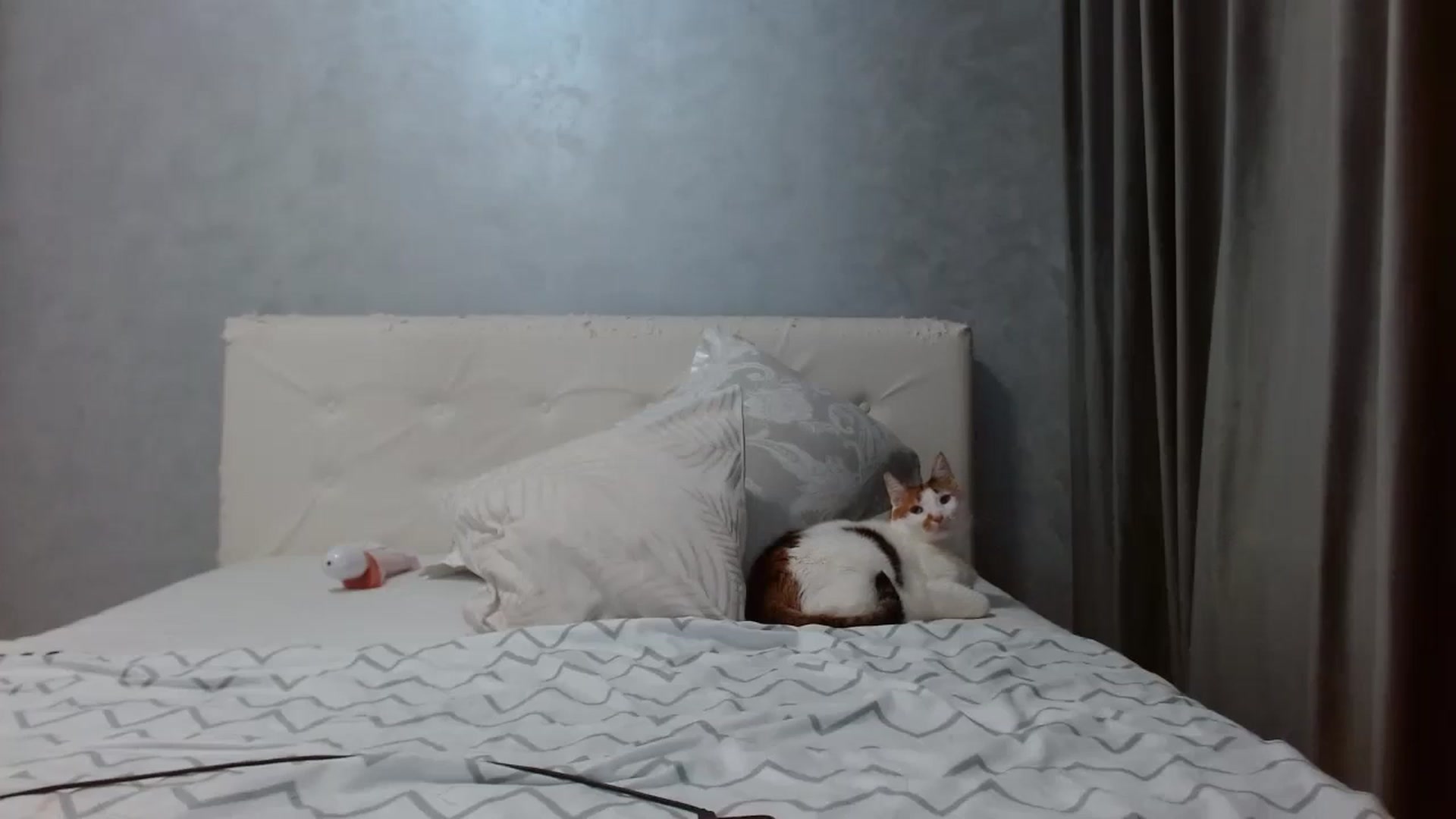 Aahh_Emilia video thumbnail