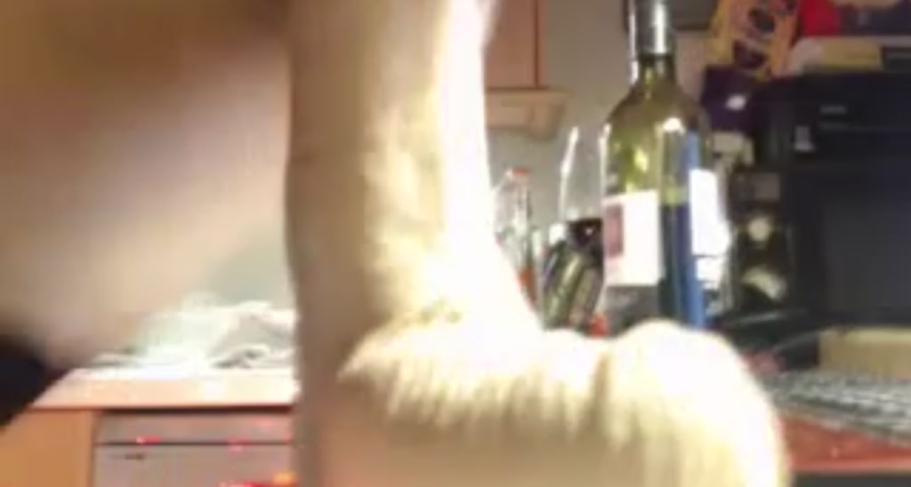 Love_Cleo video thumbnail