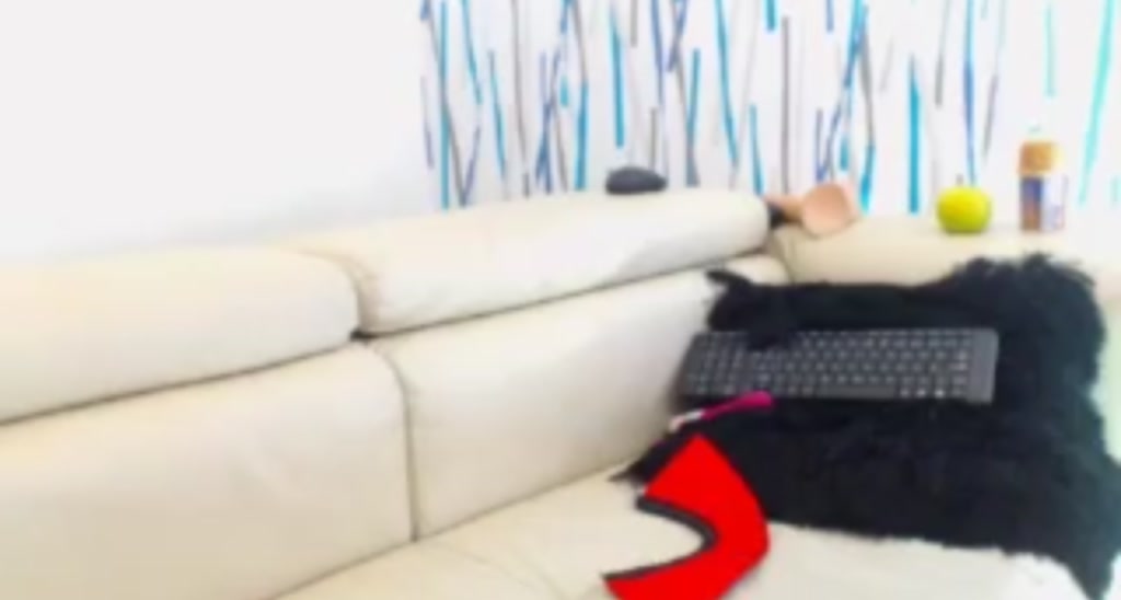 Danna_brownn video thumbnail