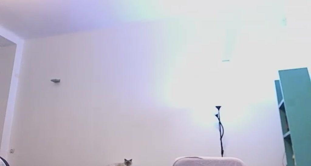 BiancaBabe_18 video thumbnail