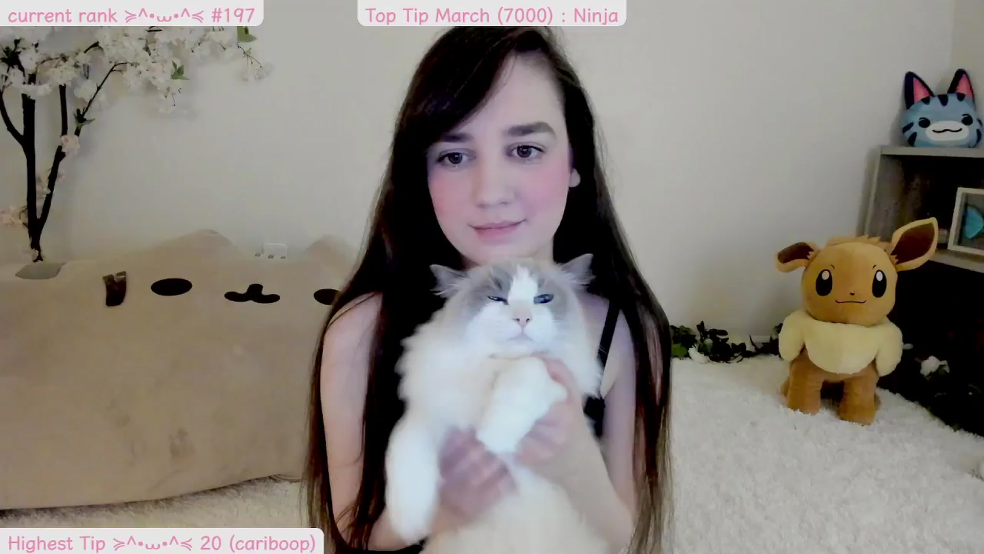 Kitty video thumbnail