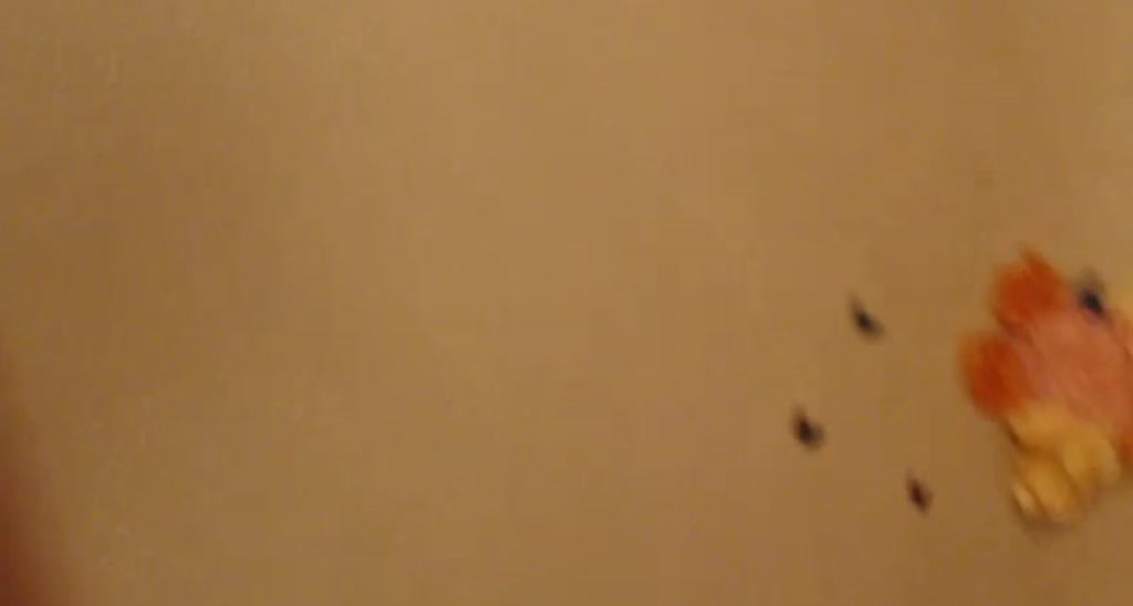 PollyDolll video thumbnail
