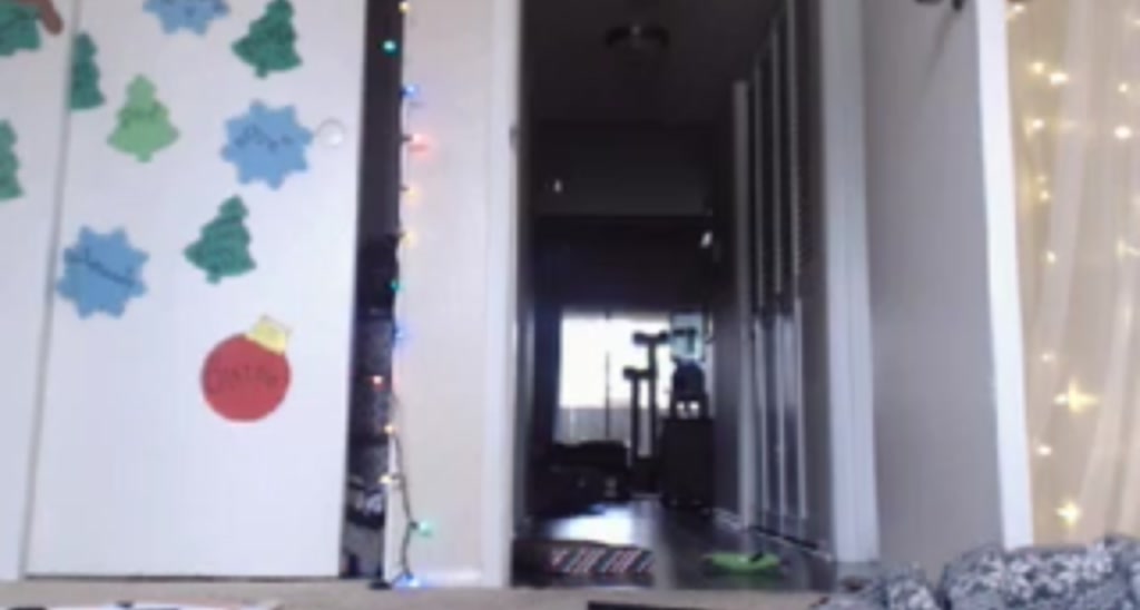 ZillyKitty video thumbnail