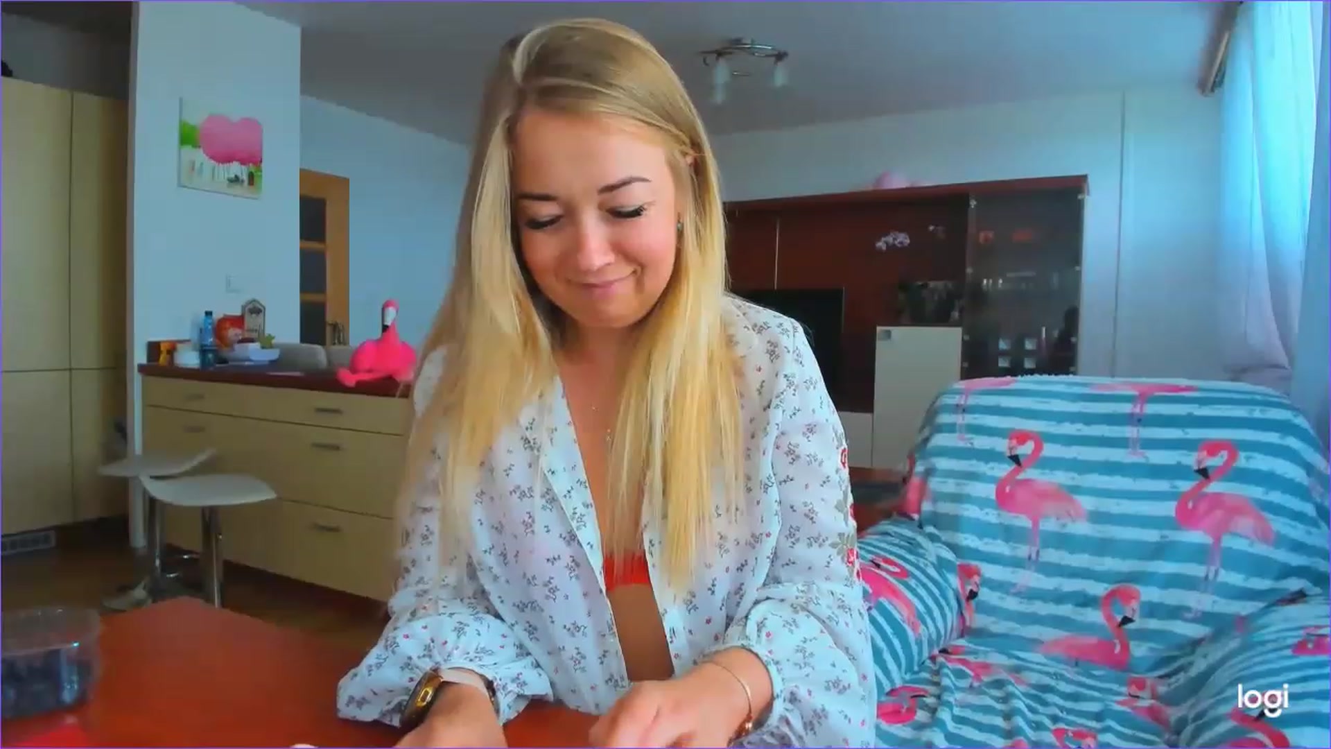 FlamingoDream video thumbnail