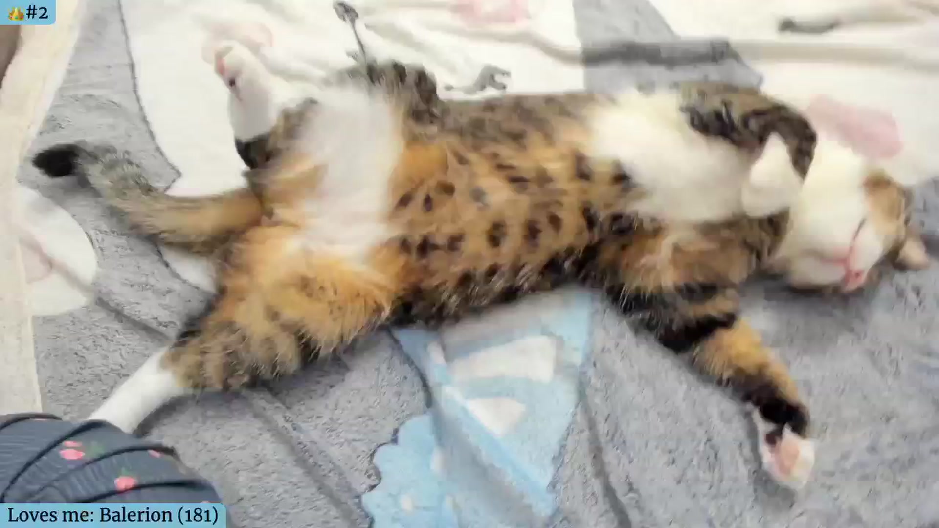 Angie video thumbnail