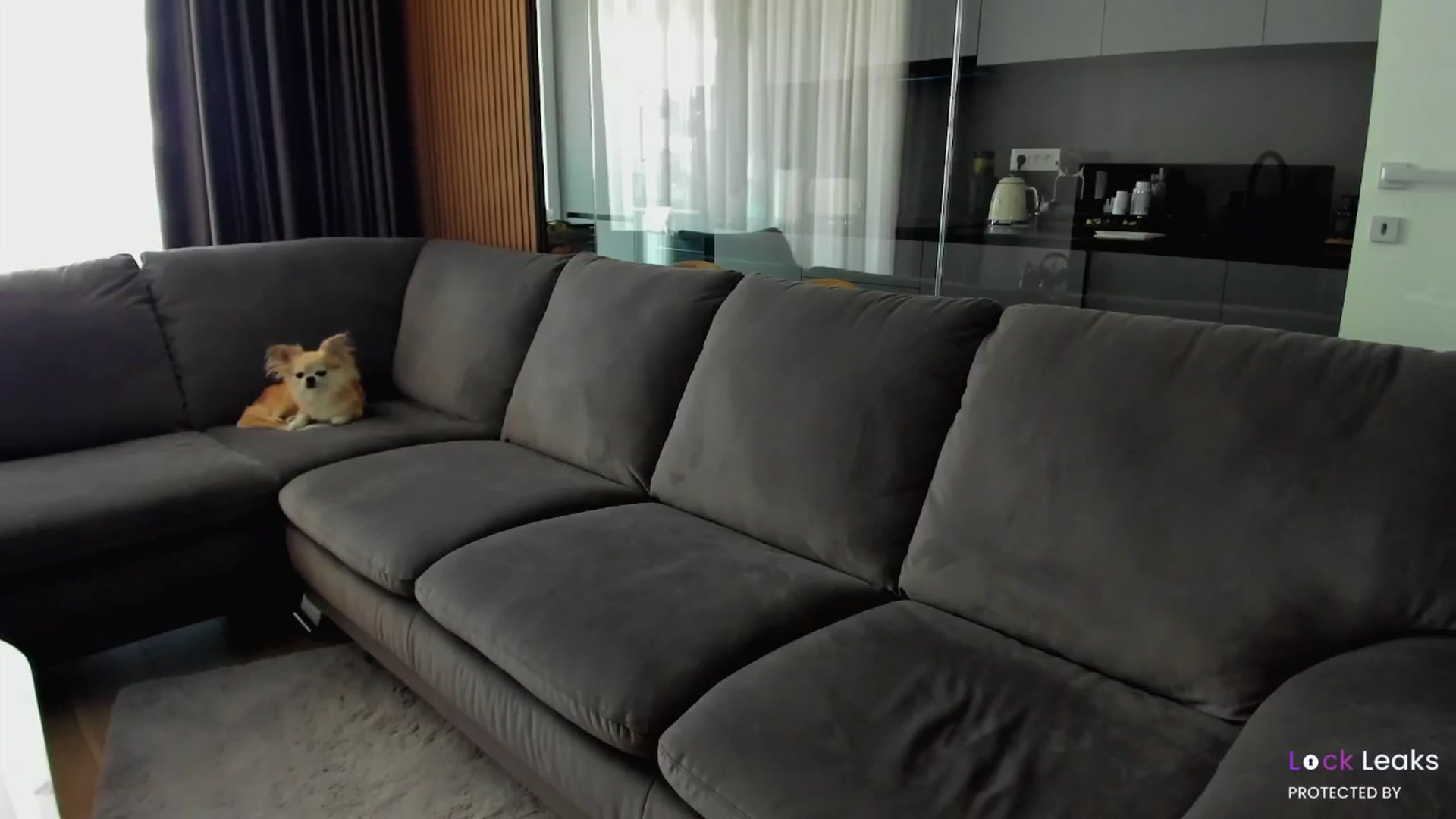 L_U_A_ video thumbnail