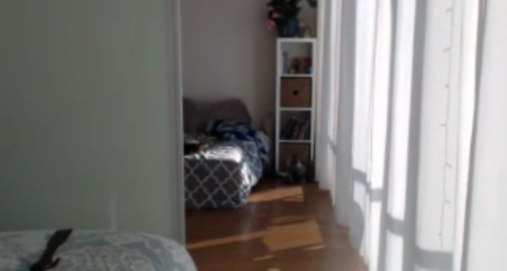 DaniiDoll video thumbnail