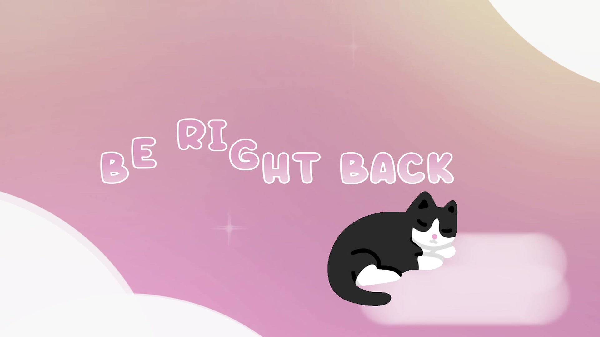 Kitty video thumbnail