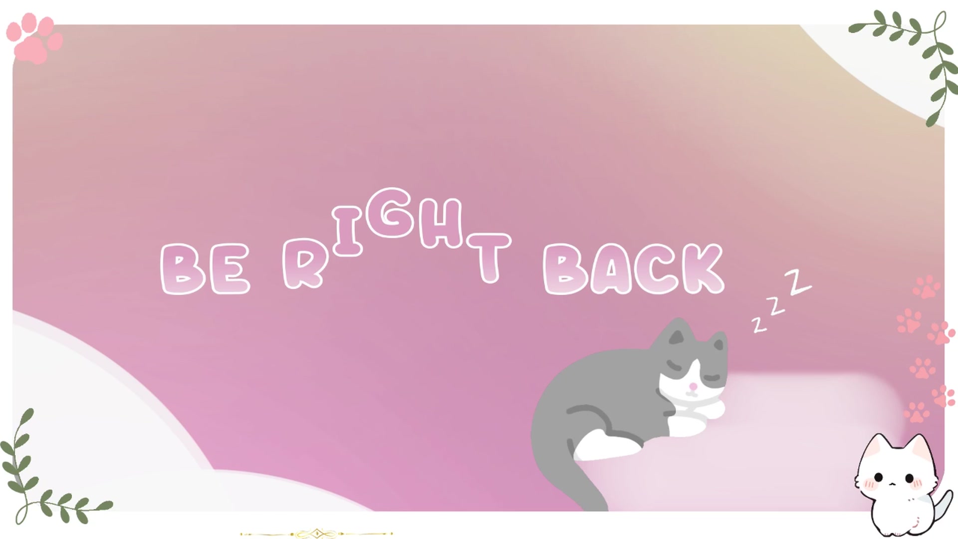 Kitty video thumbnail