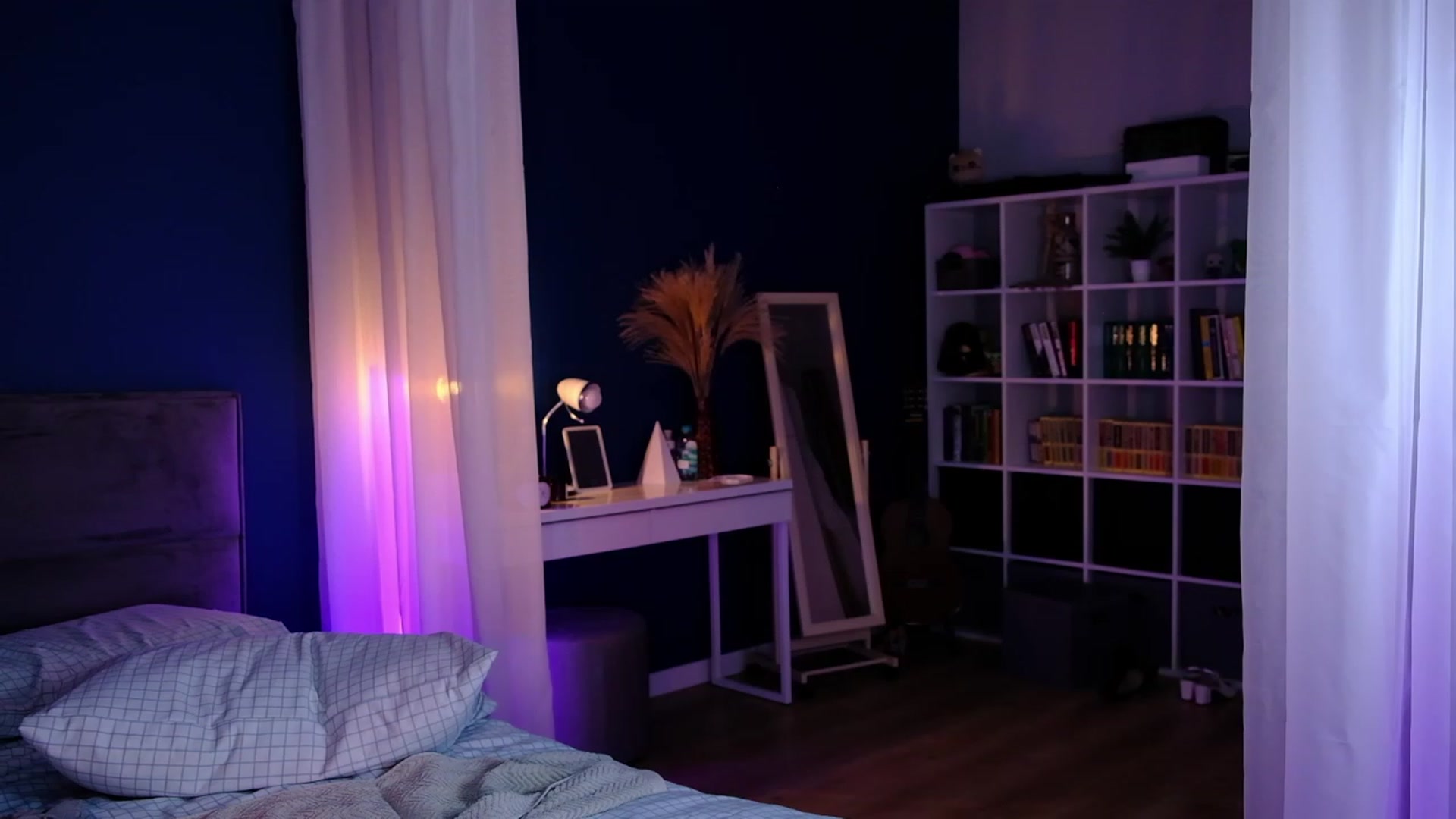 JulyRedFox video thumbnail