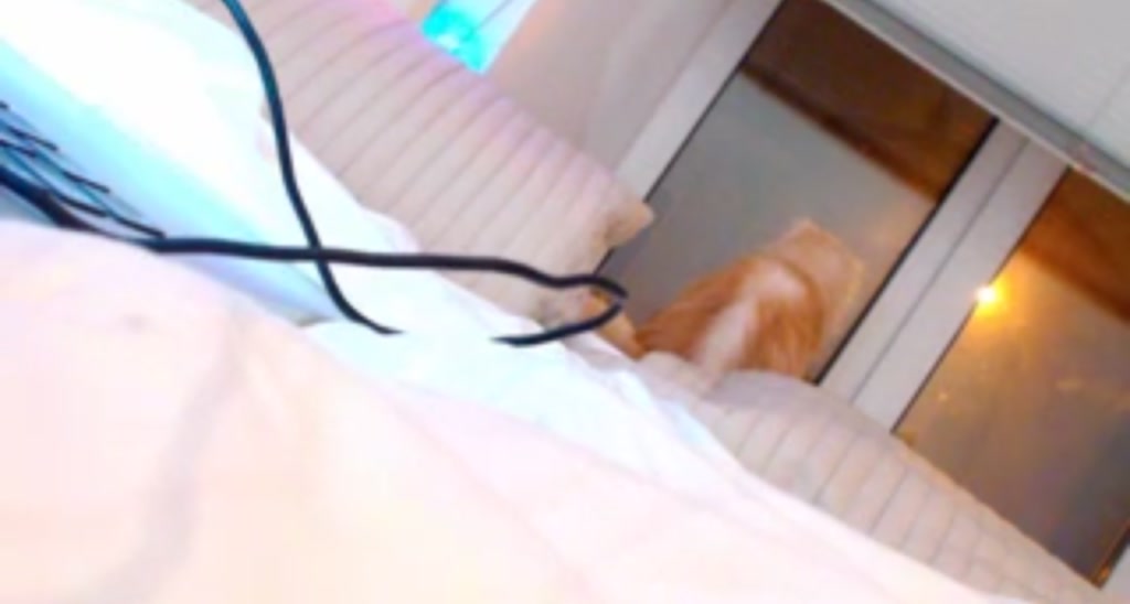 SuperBunny_ video thumbnail