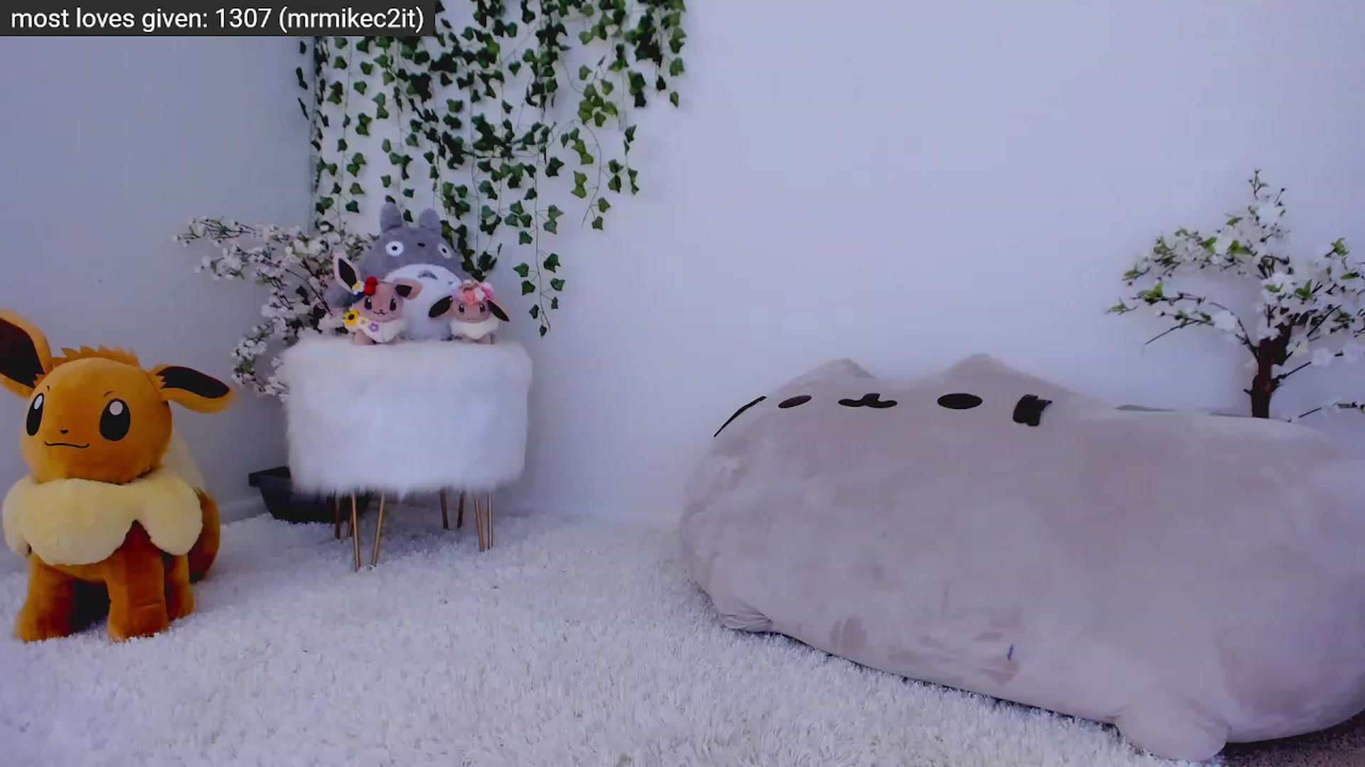 Kitty video thumbnail