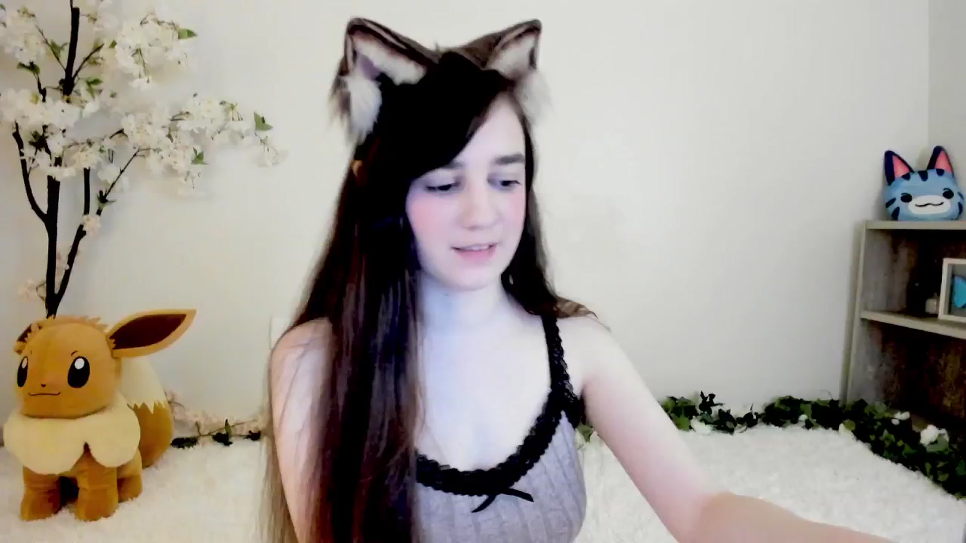 Kitty video thumbnail