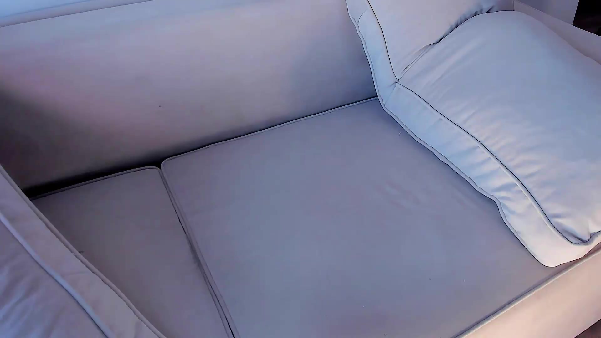 OnlyCats video thumbnail