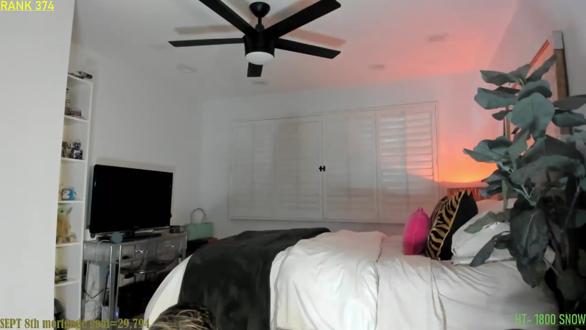 ExoticLilyXO video thumbnail