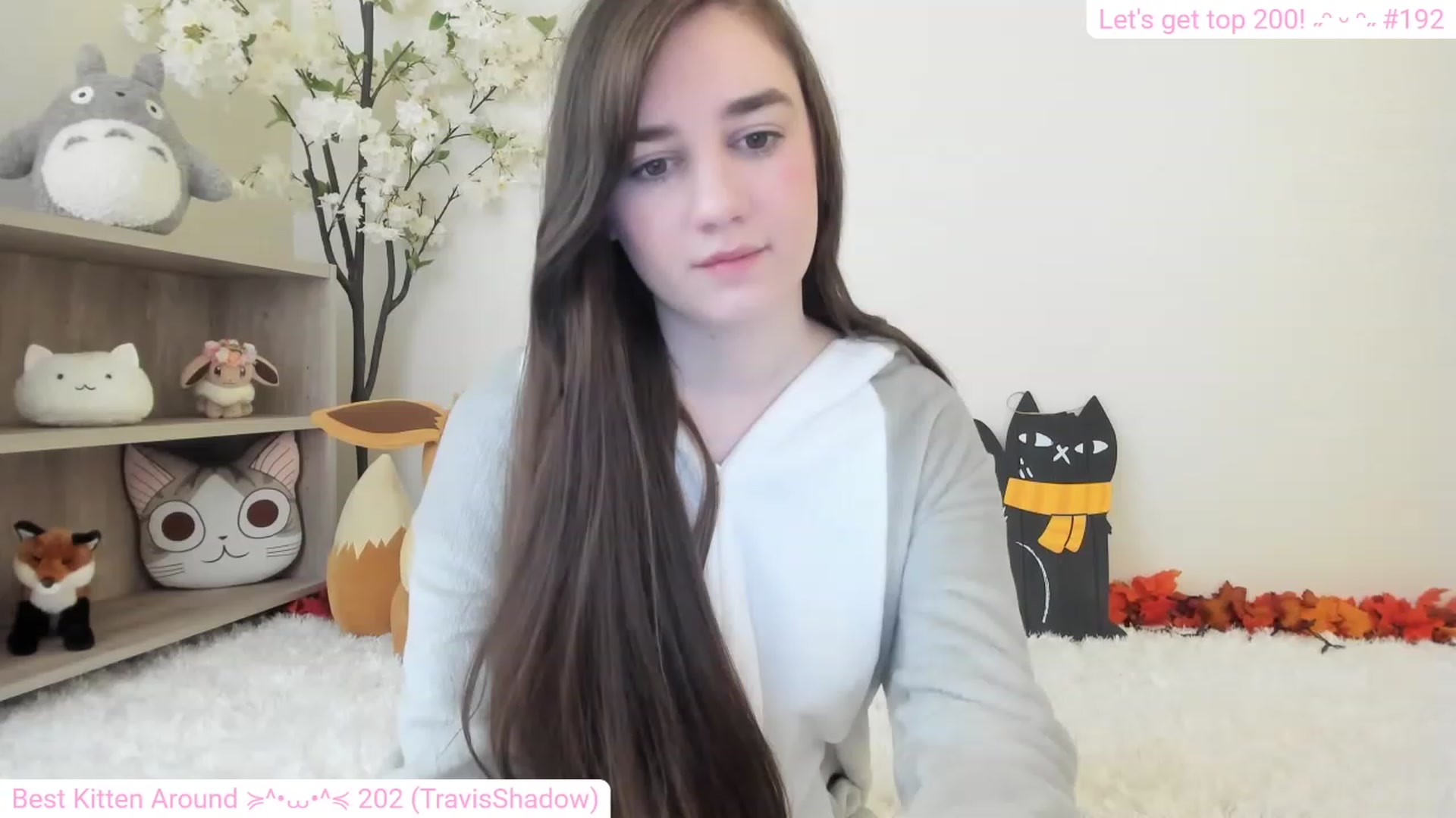 Kitty video thumbnail
