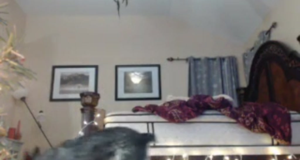 WinnDixiee video thumbnail
