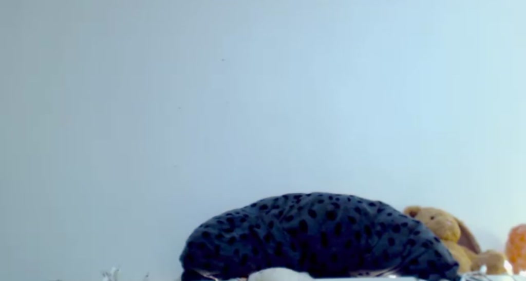 RaspberryBee video thumbnail