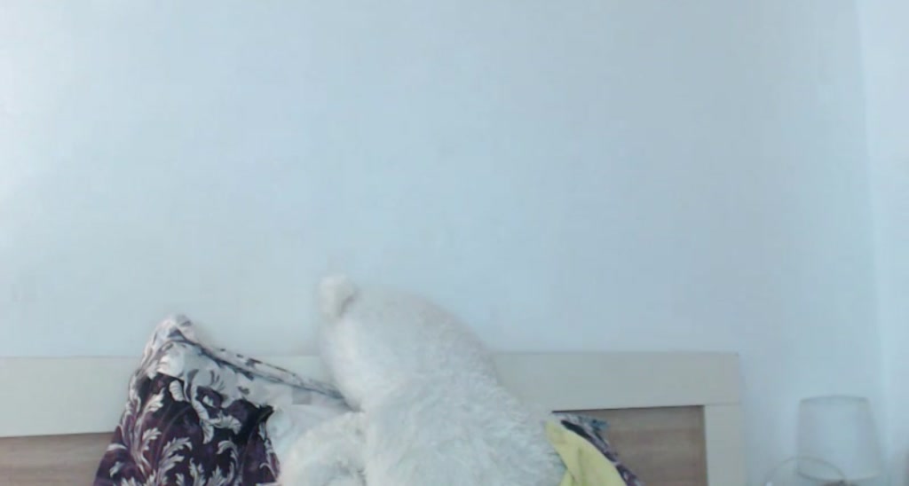 Ana_xo video thumbnail