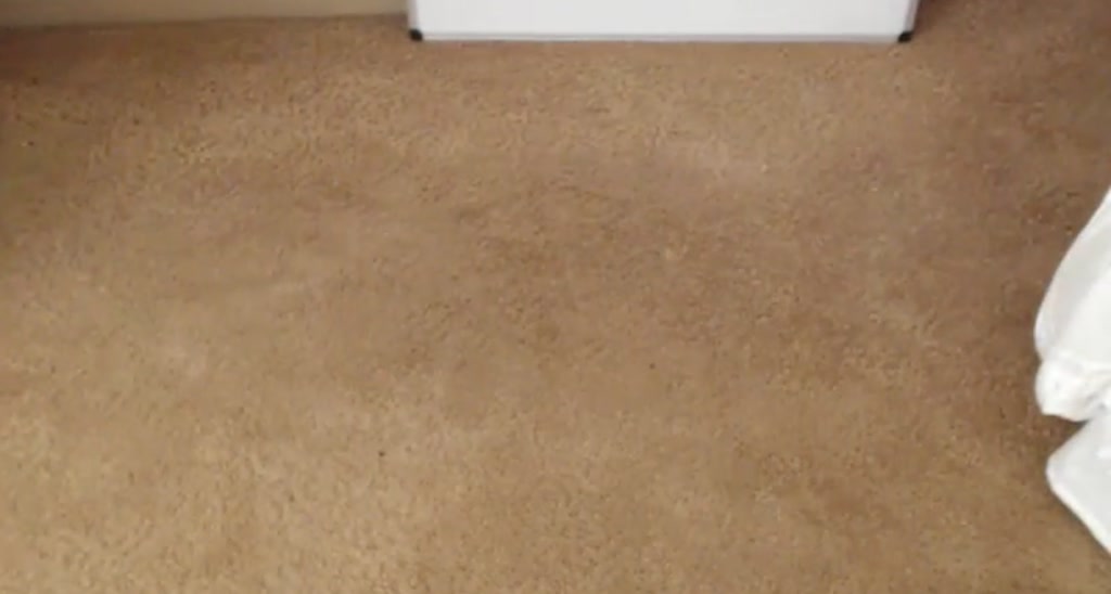 AbbeyRhode video thumbnail
