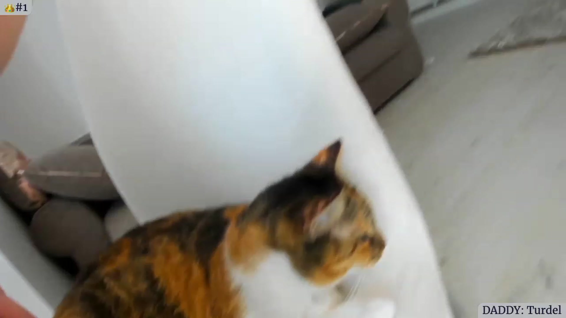 Angie video thumbnail