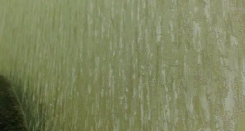 Kaliofa video thumbnail